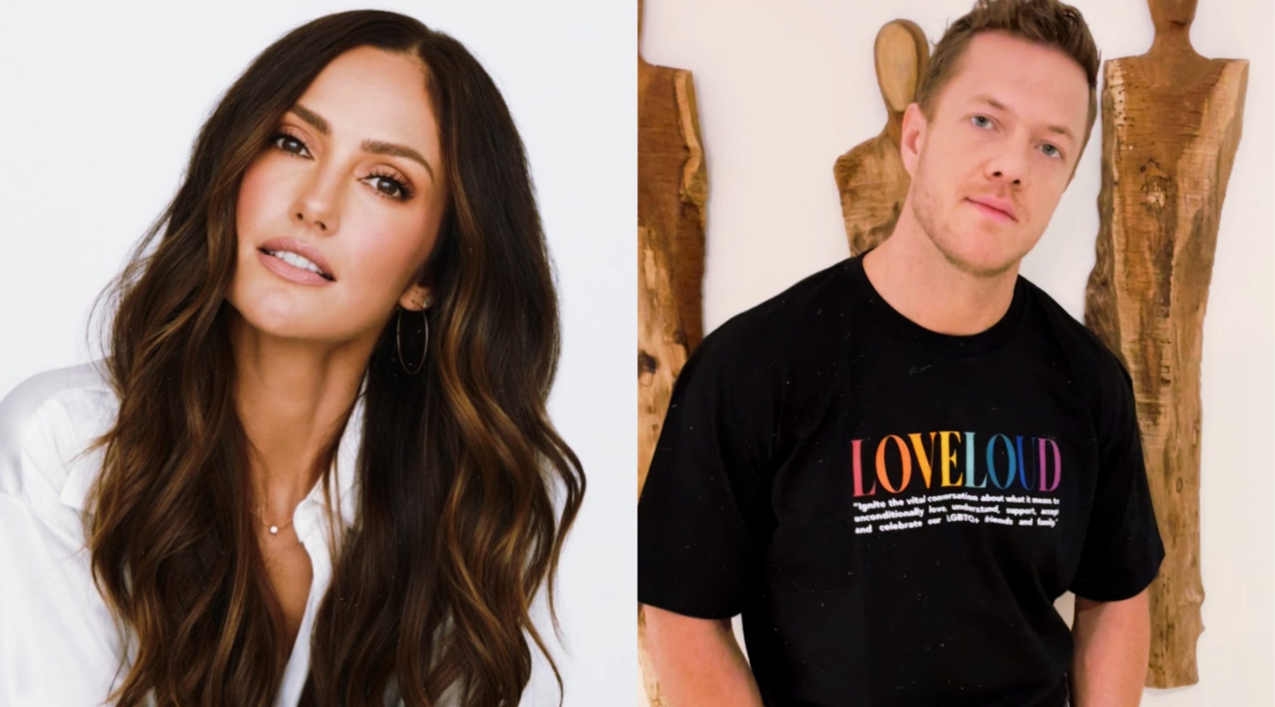 Minka Kelly and Dan Reynolds Relationship