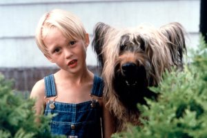 Dennis the menace 