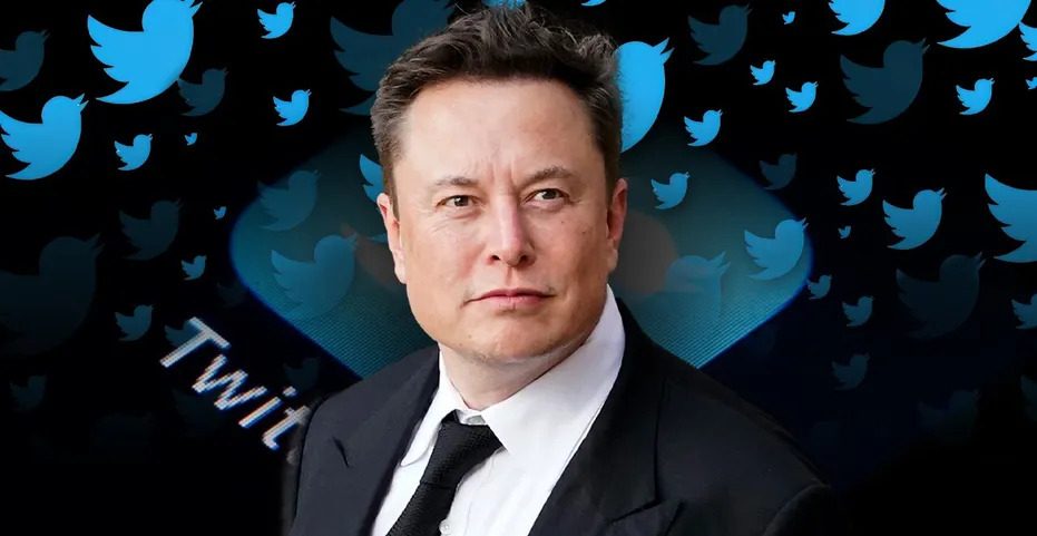 elon musk poll on twitter