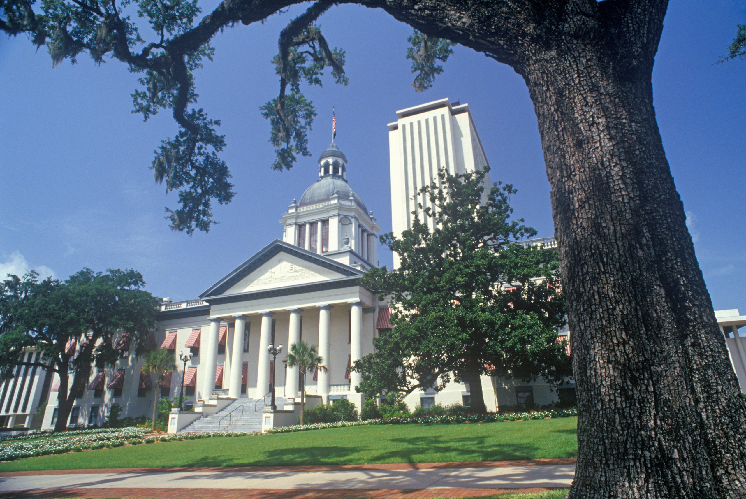 Of Course Florida Republicans Want to Make It Easier to Sue Doctors Who Perform Abortions
