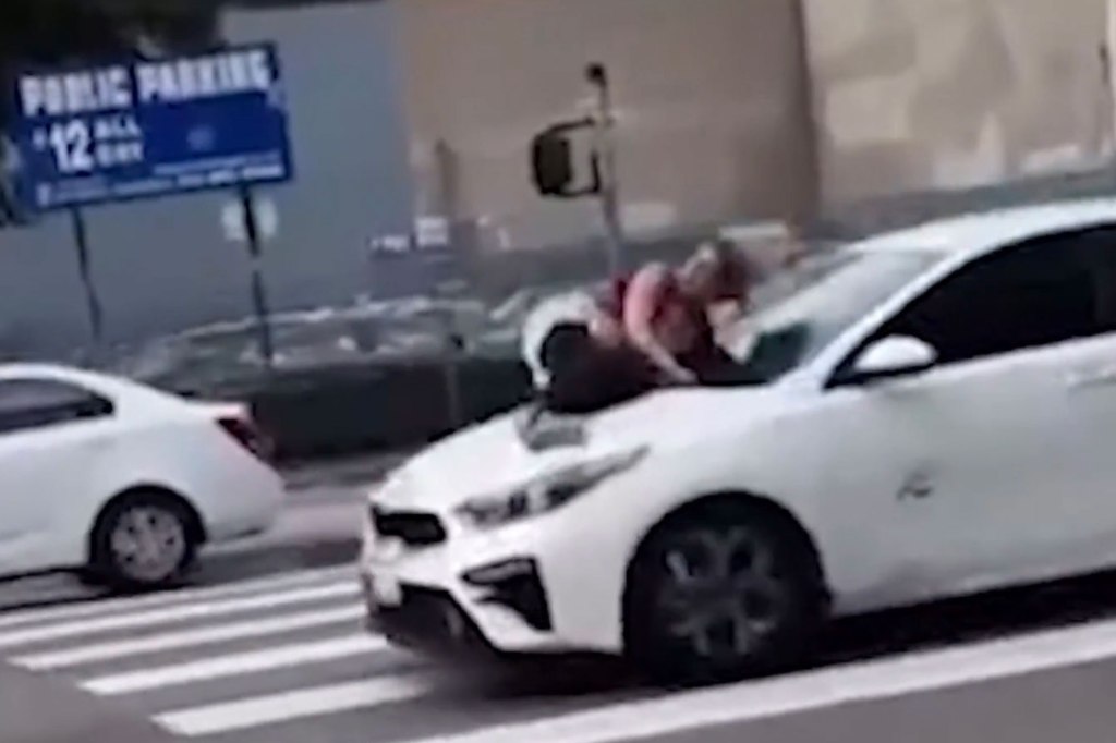Woman clings to thieves’ car after French bulldog stolen in L.A.: video