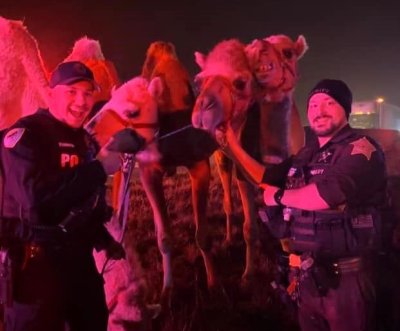 Police rescue circus animals from burning trailer on Indiana highway