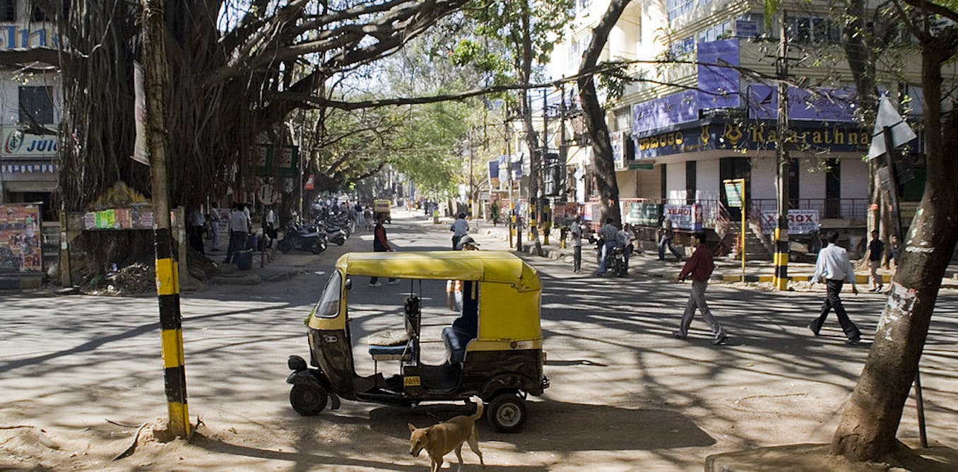 When cities were Nature’s haven: a tale from Bangalore
