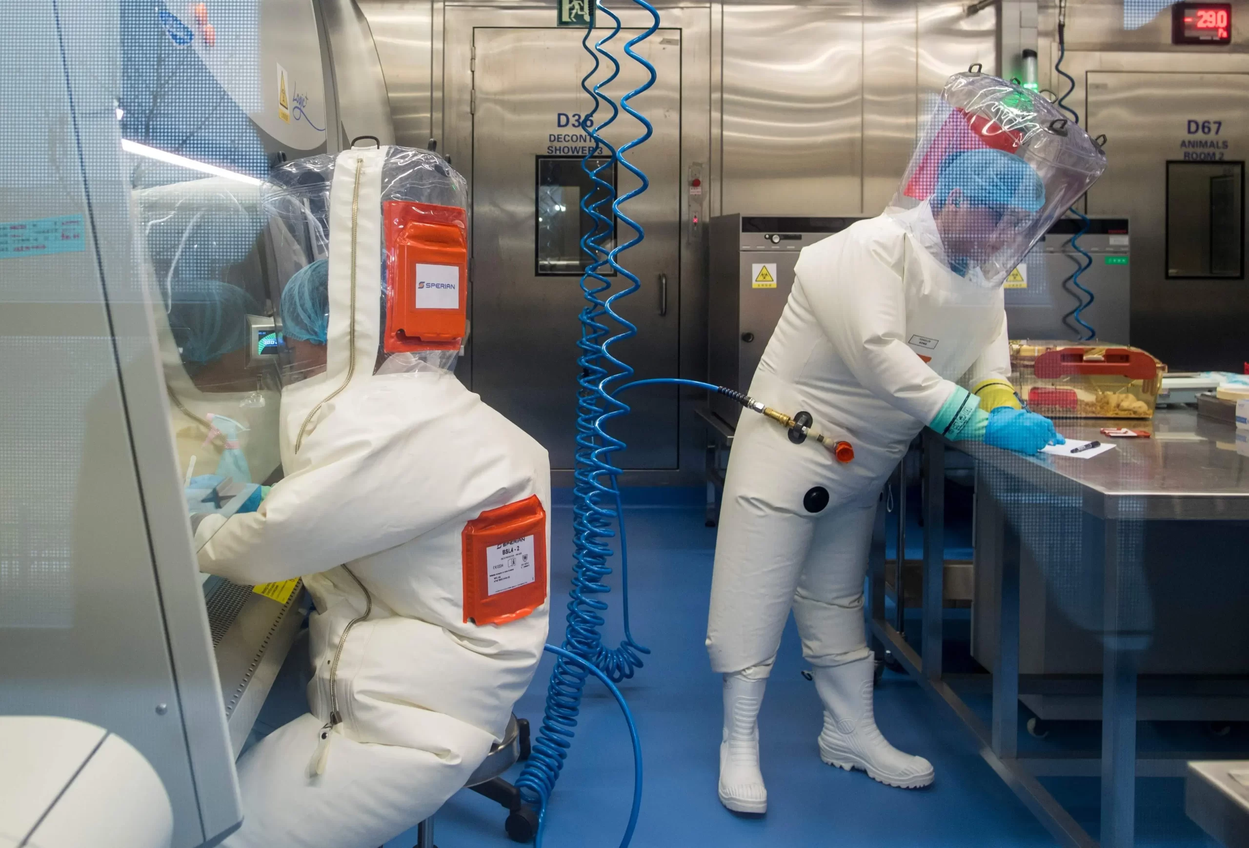 Chinese Laboratory Develops Mutant Virus Similar to Coronavirus, Resulting in 100% Mortality Rate in Humanized Mice