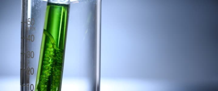 Breakthrough Biotech Paves Way for Green Fuel Production Boom