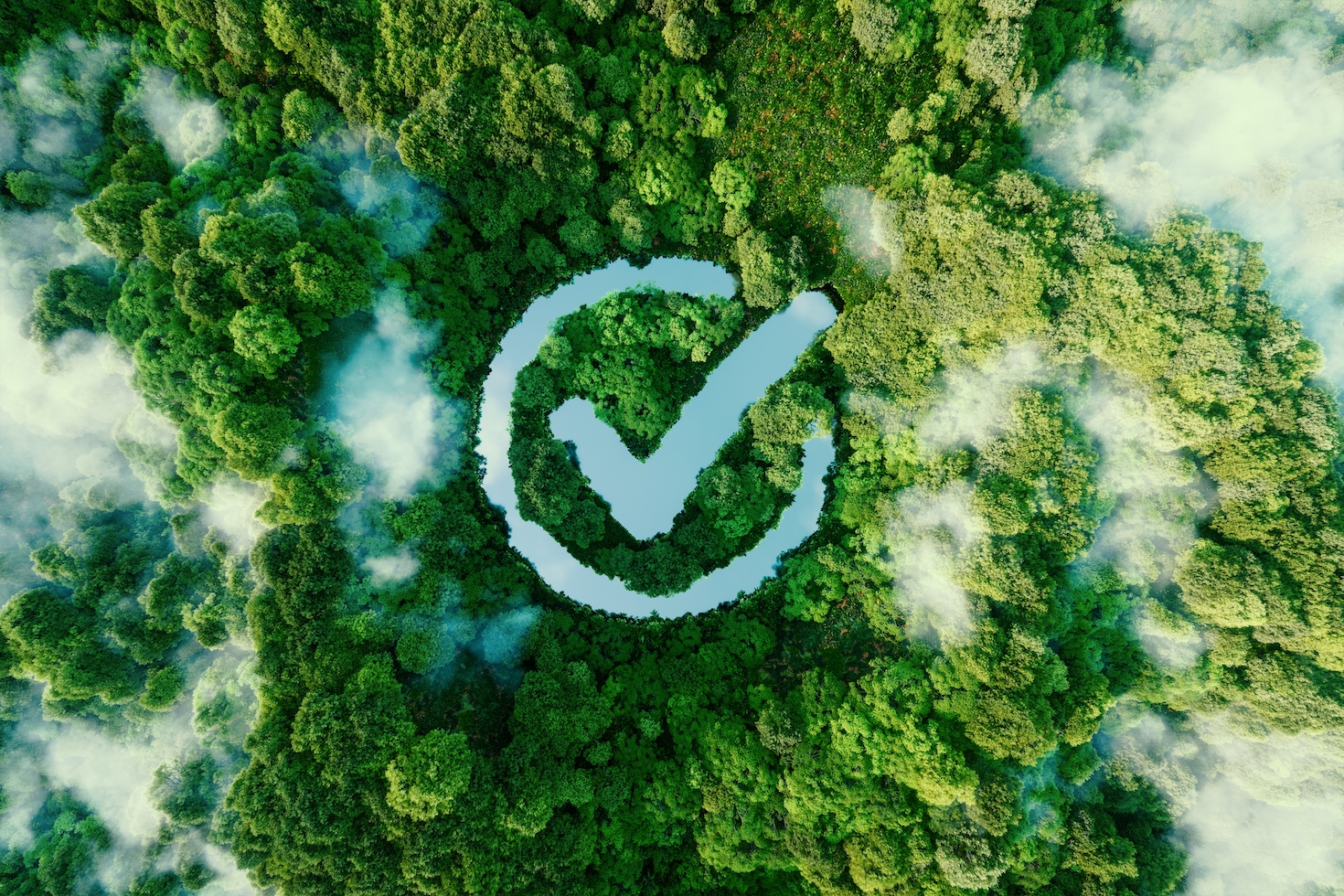 How to build voter support for sustainability in a polarizing political year