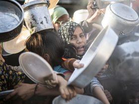 Famine ‘Imminent’ In North Gaza As Palestinians Continue To Starve: IPC Report