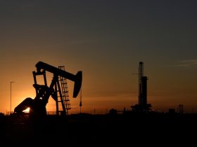 Republican lawmakers say green transition ‘cheerleader’ IEA has strayed from mandate