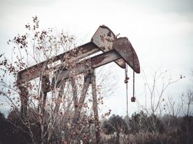 Lawmakers rush to stop ‘catastrophic-level event’ at Texas oil fields: ‘We are going to have complete and utter ecological devastation’