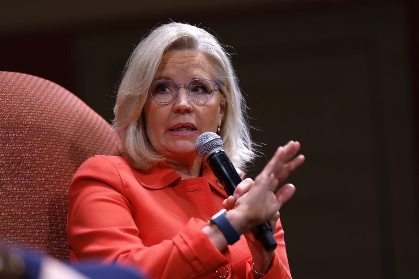 Liz Cheney Issues Warning on Donald Trump’s New Attacks