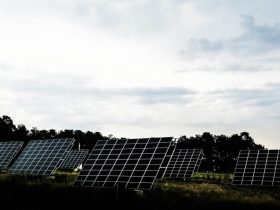China to increase PV curtailment