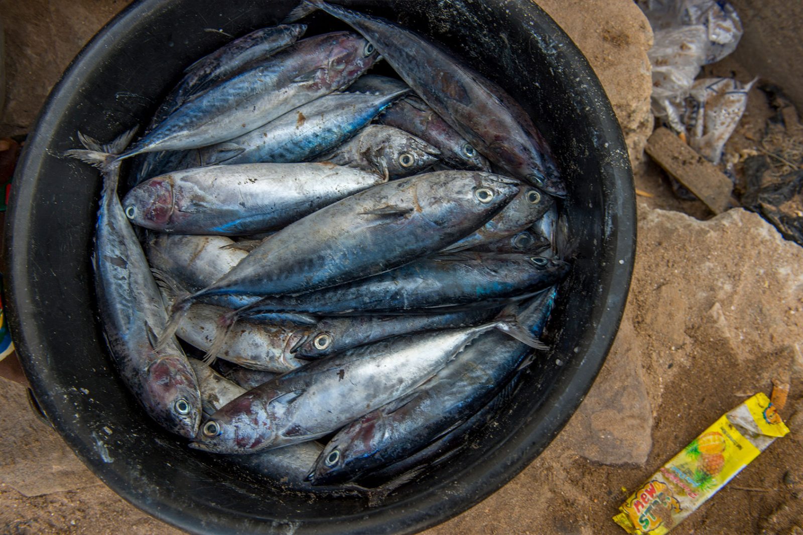 Why suspicious deaths and violence plague the seafood industry and what we can do about it
