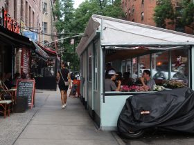 Men punching random women in NYC: A desperate last gasp of the male rage fueling MAGA