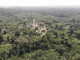 A Dubai company’s staggering land deals in Africa raise fears about risks to Indigenous livelihoods