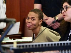 Alleged NYC subway cellist attacker pleads guilty – then changes her mind in bizarre court scene