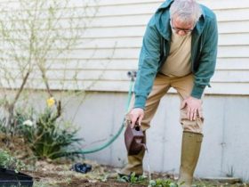 Falls by seniors represent serious health concern