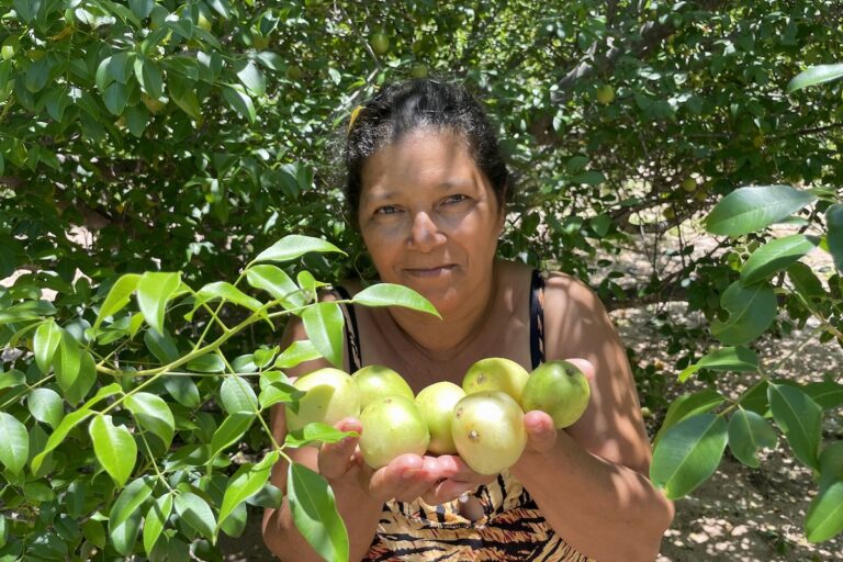 Between Brazil’s Caatinga & Cerrado, communities profit from native fruits