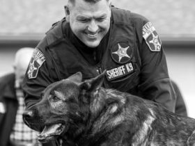 Illinois police K9 Dax dies, age 10