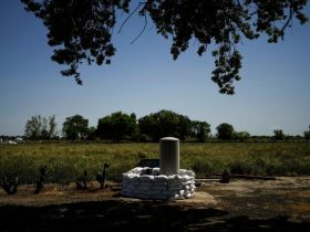Crop-Rich California Region May Fall Under State Monitoring to Preserve Groundwater Flow