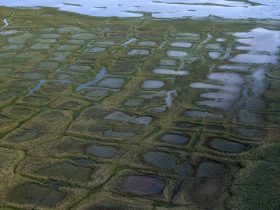 Biden administration restricts oil and gas leasing in Alaska’s petroleum reserve