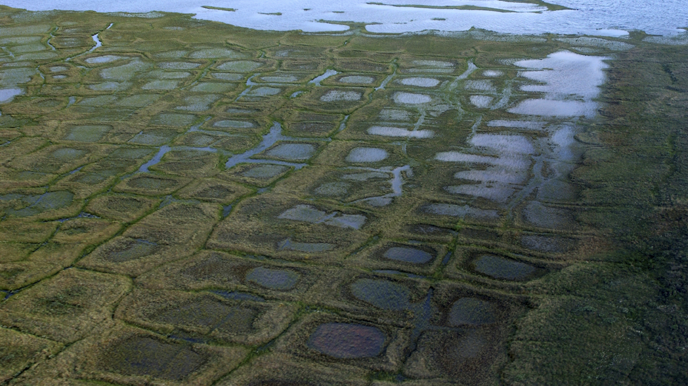 Biden administration restricts oil and gas leasing in Alaska’s petroleum reserve