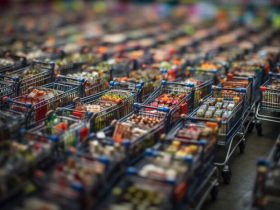 The Week Ahead: US Inflation, Private Sector PMIs, and the Bank of Japan in Focus