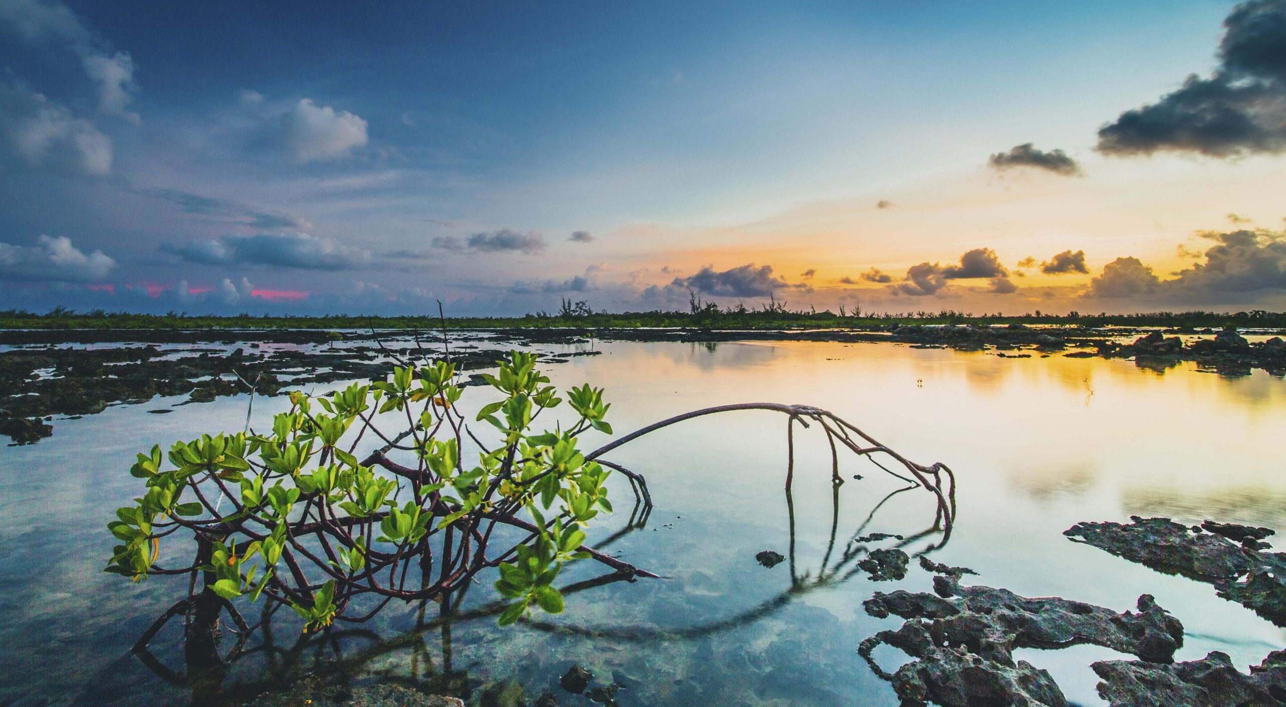 New Ideas for Fighting Climate Change