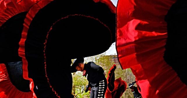 Chicago: Gang Shootout Forces Cinco de Mayo Parade to Halt and Relocate, 25 Arrested