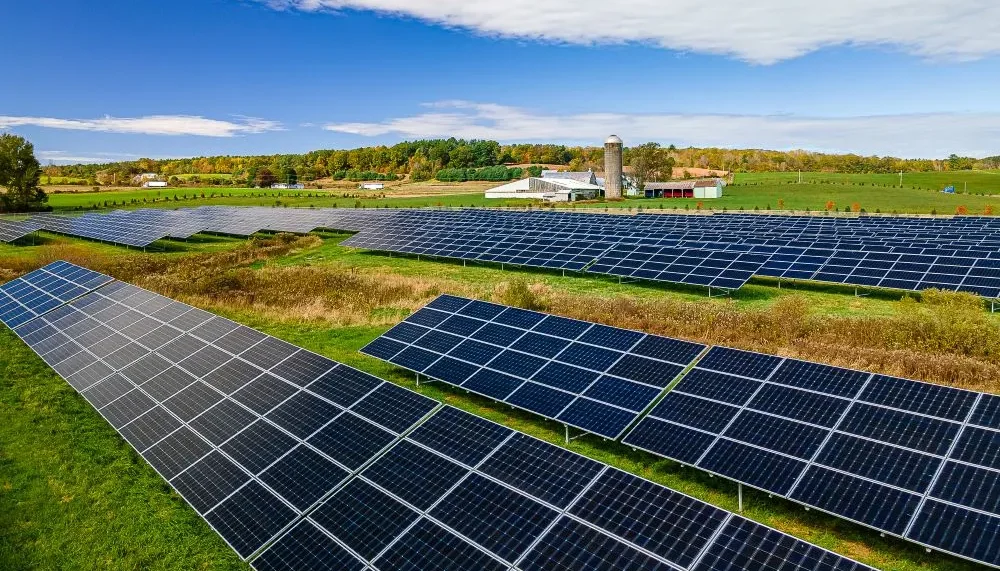 Solar Energy Gains Momentum with Affordable Panels and Tax Incentives for Homeowners