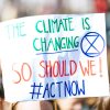 Cities Lead the Climate Fight as National Governments Retreat from Global Environmental Commitments