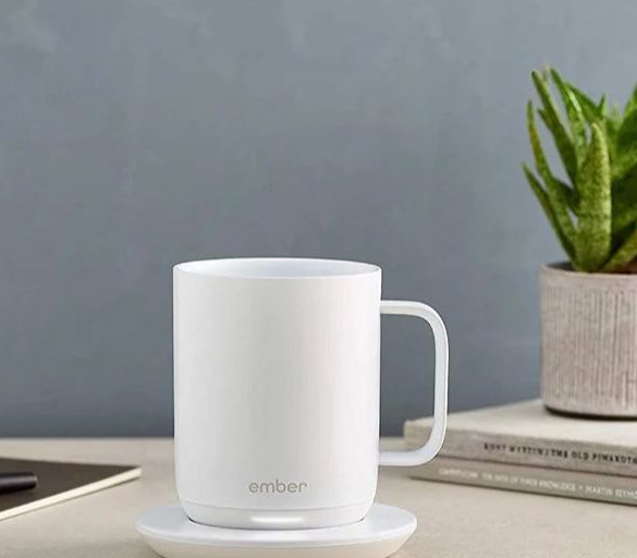 Temperature Control Smart Mug
