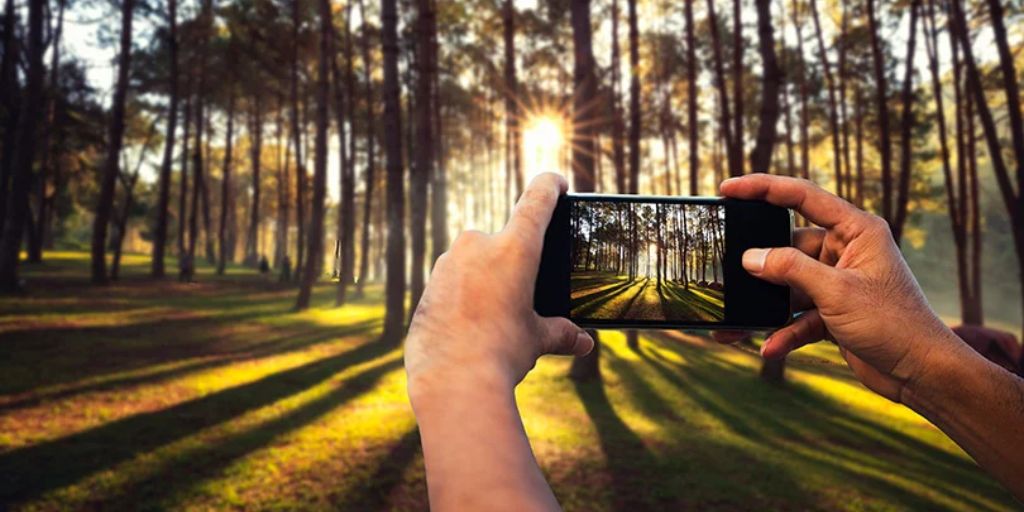 Tips for Better Smartphone Photography