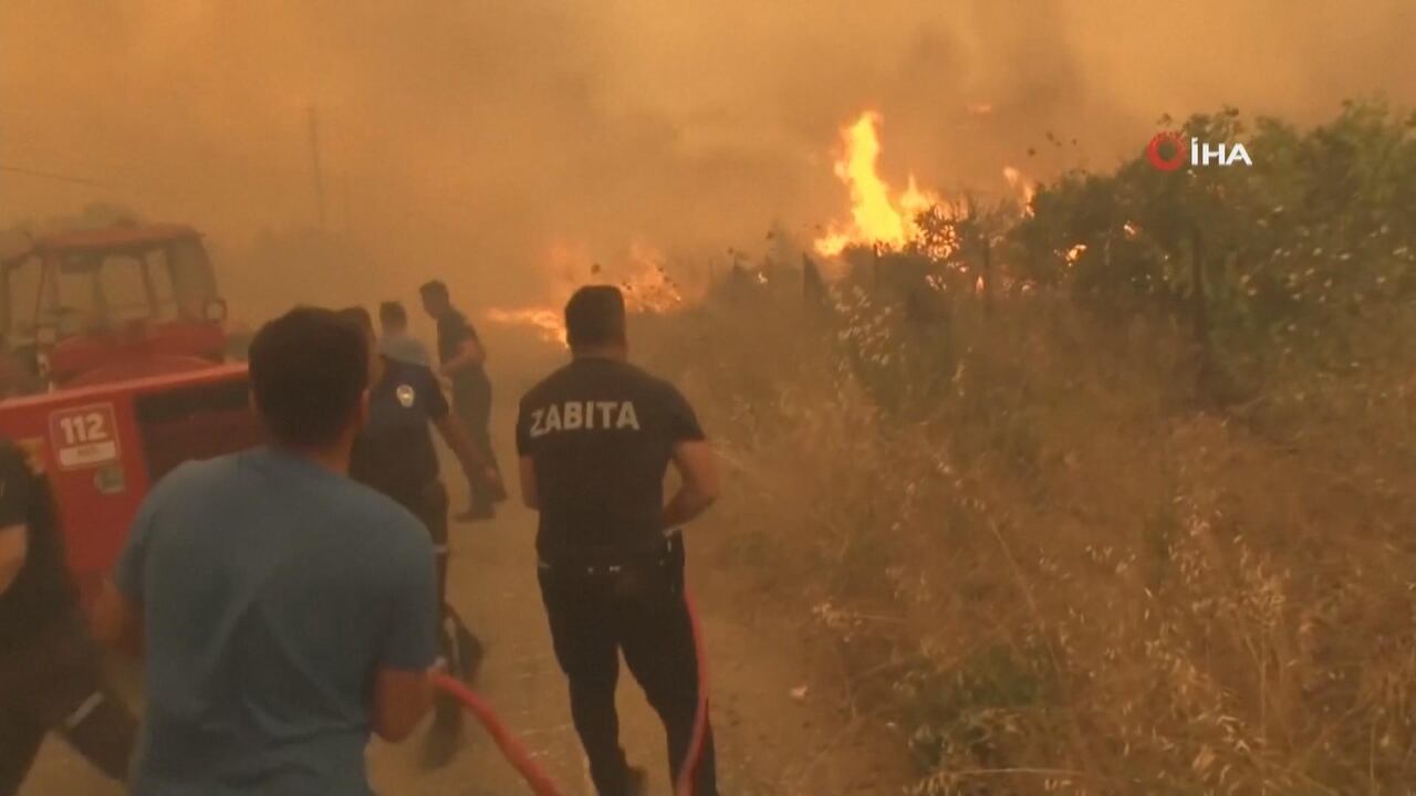 Deadly Wildfire in Turkey Claims 10 Lives as Heatwave Fuels National Crisis