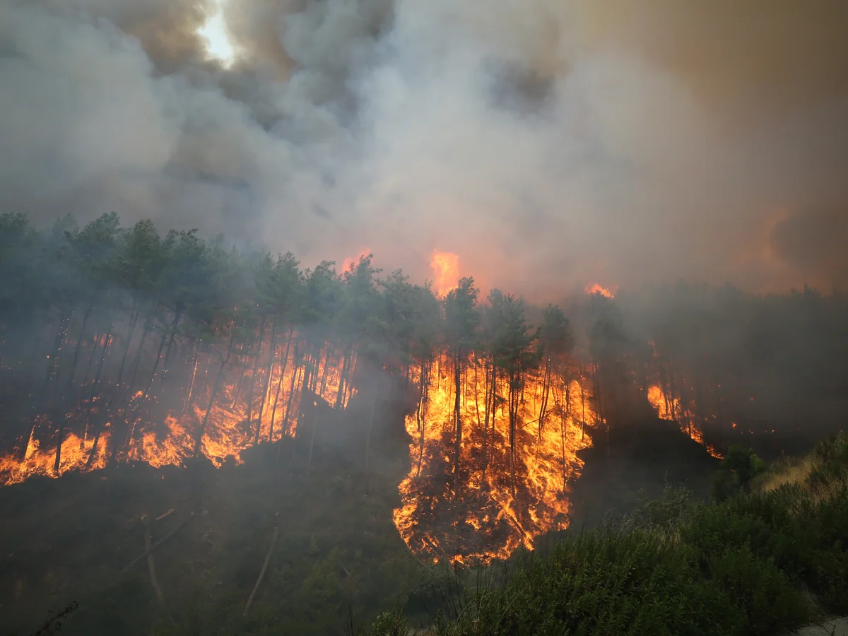 Deadly Wildfire in Turkey Claims 10 Lives as Heatwave Fuels National Crisis