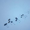 Israel Permits Airdrops as Gaza Famine Deepens and Ground Aid Remains Paralyzed