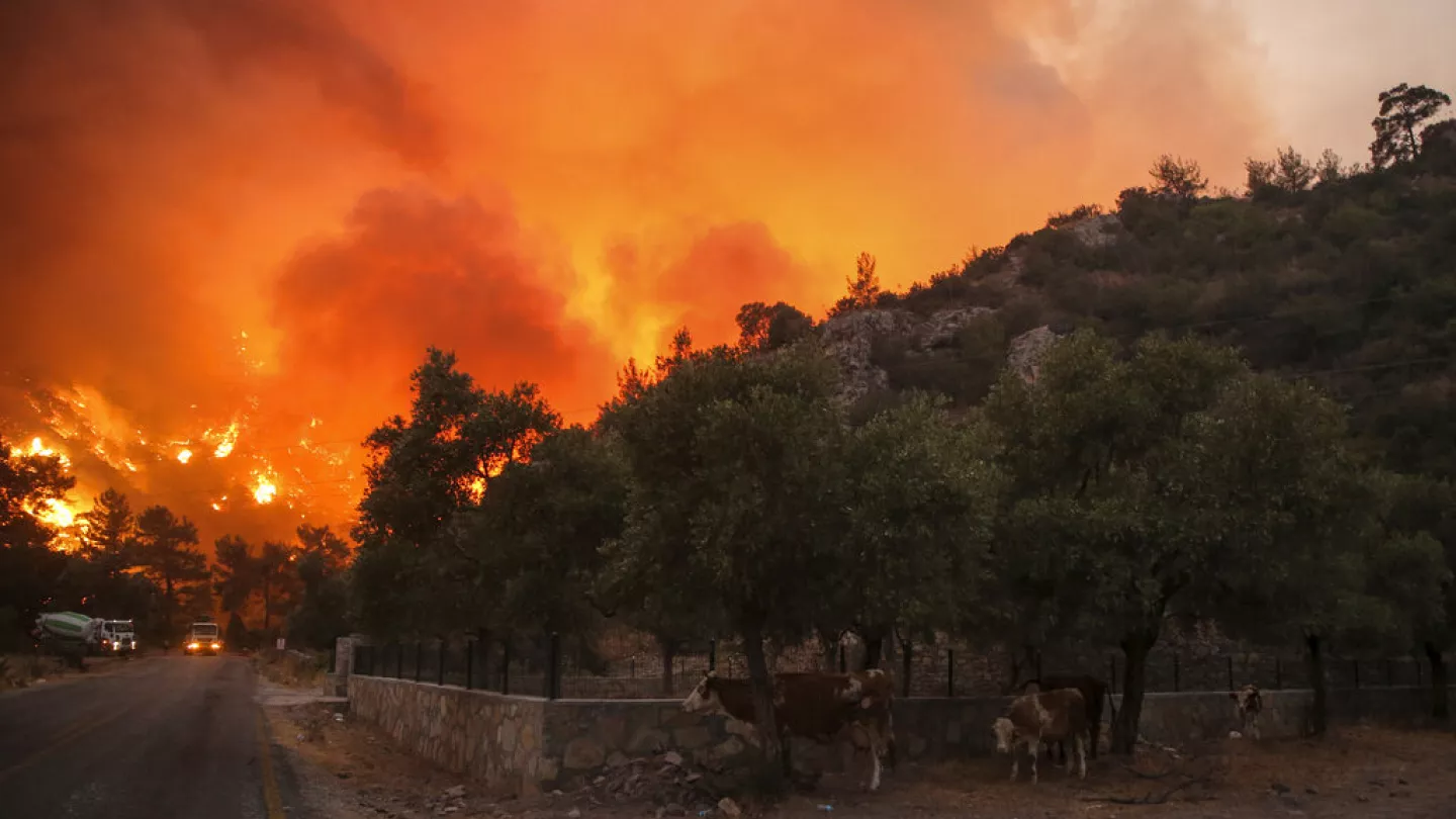 Turkey Declares Disaster Zones as Wildfires Rage Near Cities Amid Record Heat and Regional Crisis