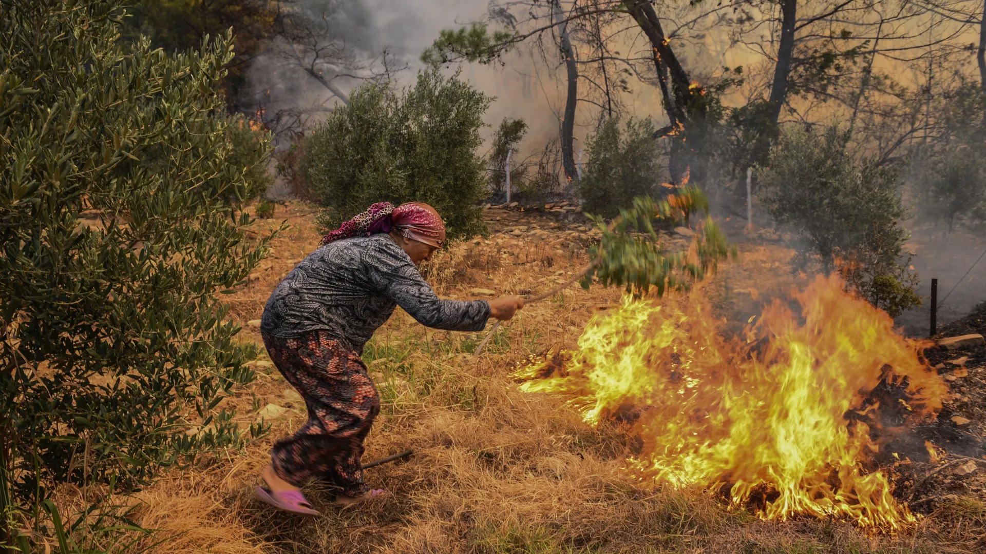Turkey Declares Disaster Zones as Wildfires Rage Near Cities Amid Record Heat and Regional Crisis