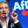 AfD Surpasses Merz’s CDU in Polls as Far-Right Surge Reshapes Germany’s Political Scene
