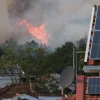 Europe Battles Record-Breaking Heat Wave as Wildfires Threaten Communities and Resources