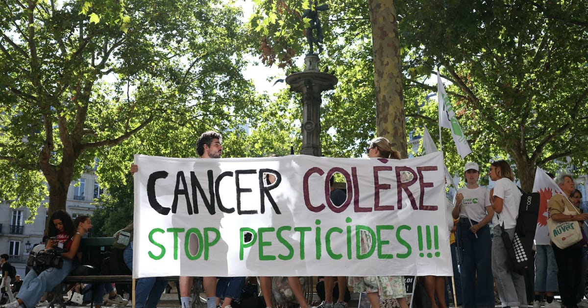 France’s Top Court Blocks Bee-Harming Pesticide, Delivering Blow to Macron’s Farming Reform Law