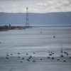 Italy Approves World's Longest Single-Span Bridge to Link Sicily, Sparking Hopes and Controversy
