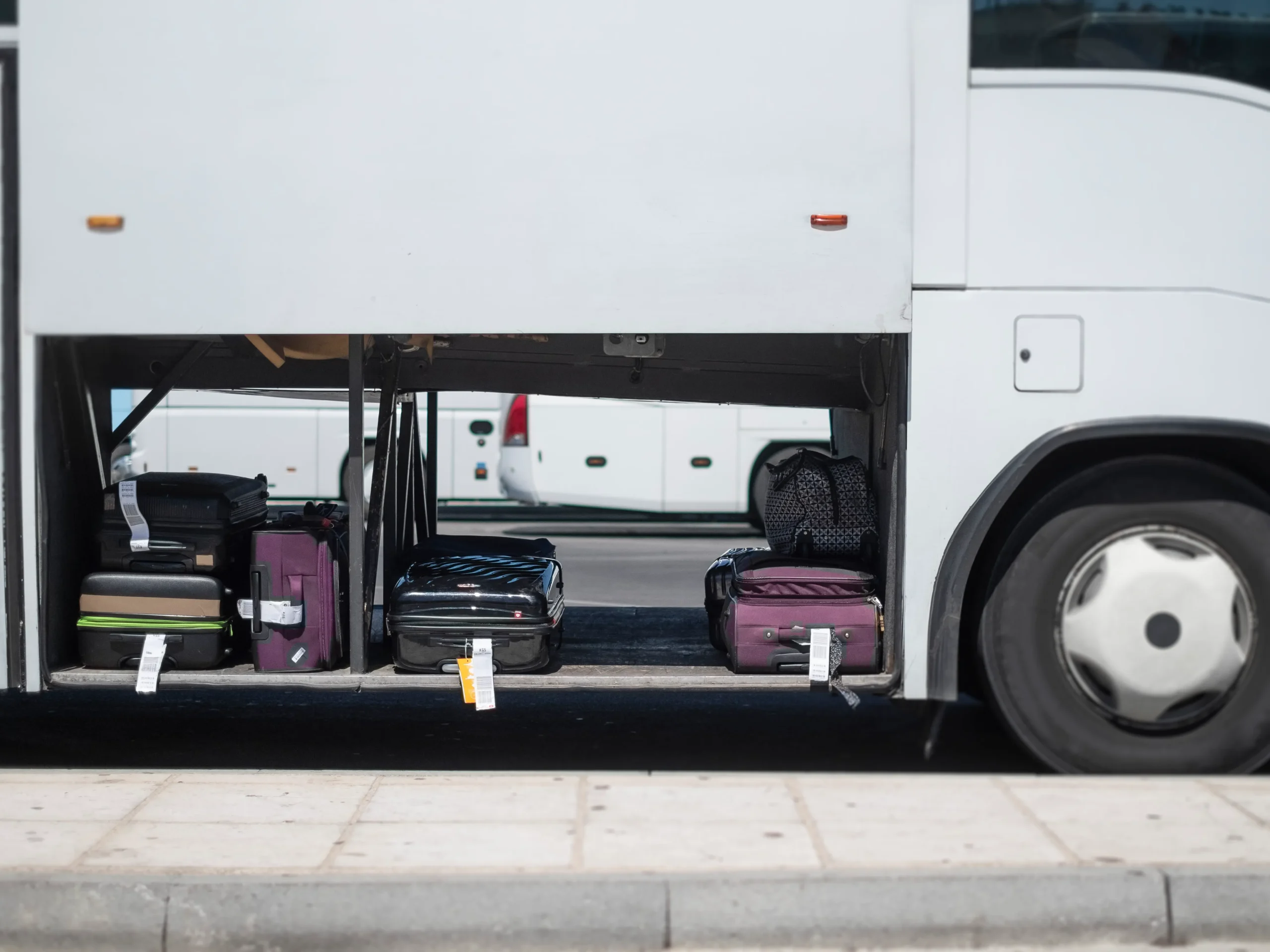 Toddler Found Alive in Suitcase on New Zealand Bus, Woman Arrested for Child Neglect