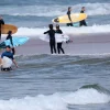 Shark Attack Kills Surfer at Long Reef Beach, Sydney Community Grieves Tragic Loss