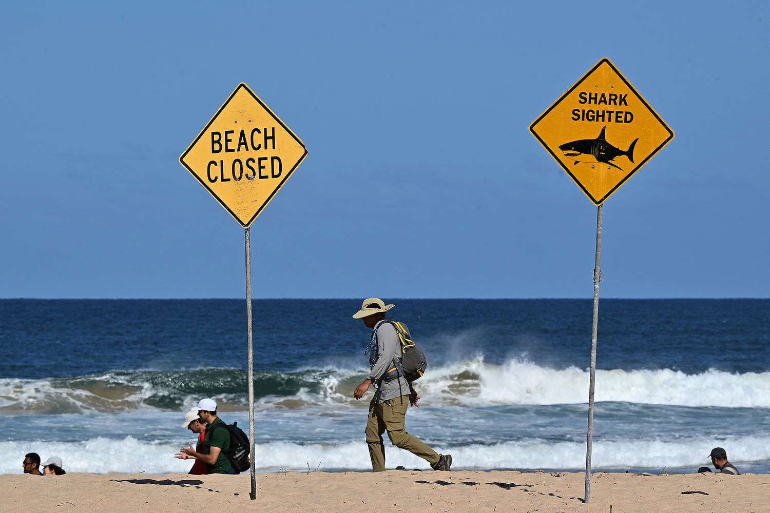 Shark Attack Kills Surfer at Long Reef Beach, Sydney Community Grieves Tragic Loss