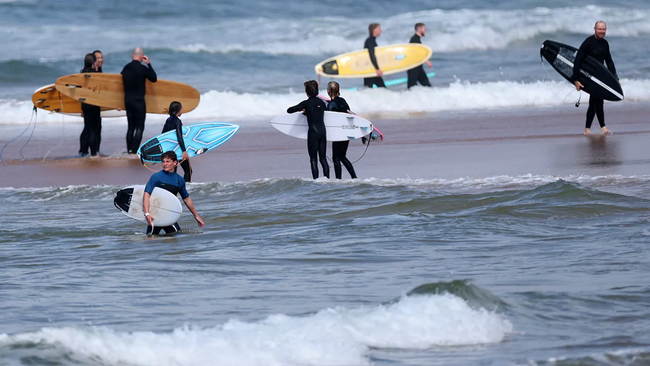 Shark Attack Kills Surfer at Long Reef Beach, Sydney Community Grieves Tragic Loss